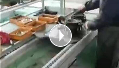 辰力手拉葫蘆車間，手拉葫蘆流水作業(yè)中